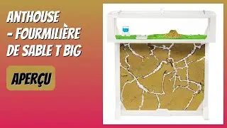 AVIS (2026) : AntHouse - Fourmili&egrave;re de Sable T Big. D&Eacute;TAILS