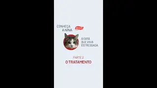 2 😿Nina & Serenex - O tratamento