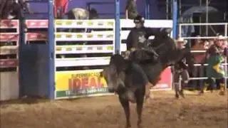 Guilherme Aranha x Crocobite ( cia WM)
