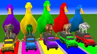 Long Slide Game With Cow Elephant Gorilla Hippopotamus Tiger 3d Animal Game Funny 3d Animals