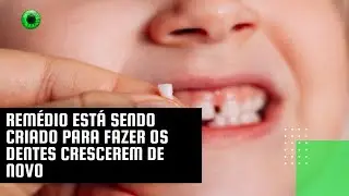 Remédio está sendo criado para fazer os dentes crescerem de novo