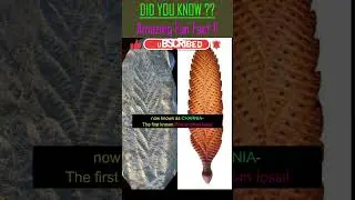Did You Know ?? Amazing Fact ?? #youtubeshorts #trending #dinosaur #animal