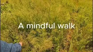 Mindful walking Chemin des 3 villages - van life, life changes, difficult things