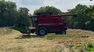 August 1st, 2021 Cereal Rye Harvest