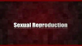 Sexual Reproduction | AIPMT Biology Video Lecture