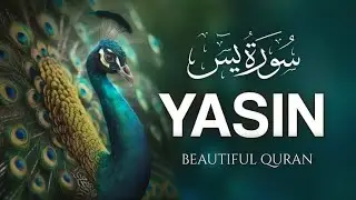 Sura Yaseen Beautiful Recitation Full || Copy of Islam Subhi Viral Quran Recitation  episode 53