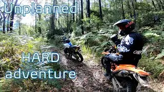 Accidently discovered Hard Adventure riding on the G310GS