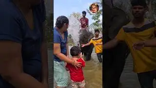 குட்டி யானை உடன் 3 வயது பாப்பா செய்யும் Jolly! #shortsviral #tamiltrending #adhyafamily #vacation