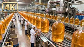 The INSANE Efficiency of Modern Juice Production: Inside an Apple Processing Facility
