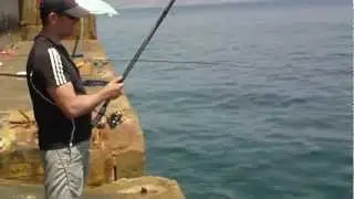 Pescando doradas 1
