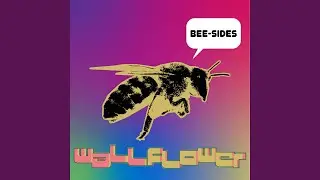 Wallflower (So Much Light Remix)