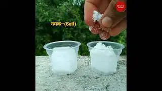 Easy Science Experiment in Home | ice Science Trick | Ice Cube + Salt Trick | #shorts