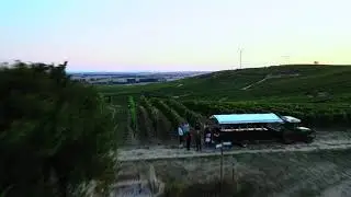 Funzelfahrt in den Weinbergen zwischen Zornheim und Selzen | Drohnenfaszination