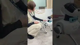 Dog-robot #mwc #mwcbarcelona #mwc2025