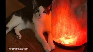 Himalayan Salt Reviews - Enrich your life with Pink Salt #himalayansalt #himalayansaltlamp