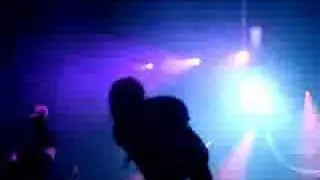 the blackout - Spread Legs not lies