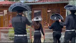 Las Mañanitas/ Stephy Vit (Cover)