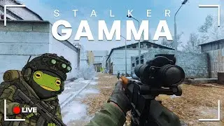🔴LIVE - Let's Explore The ZONE Together | STALKER GAMMA LIVE EP 1