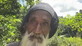 Caribbean Garden Tour