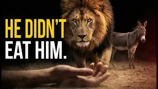A Prophet Disobeyed ONE Command&hellip; and Was KILLED by a Lion! (1 Kings 13)