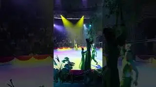 Gia đình đi xem xiếc ngày 21-3-2025