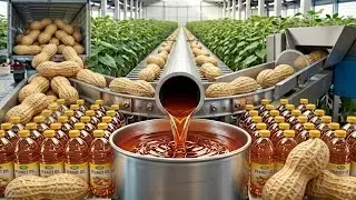 How Premium Peanut Oil Is Made (Full Factory Process) 🥜