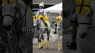 Halloween costumes for horse and rider 🎃👻