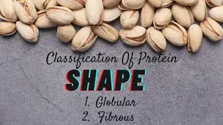Classification of Protein on the basis of shape