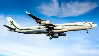 Golden Hour Newark Plane Spotting | B777 B767 A340 | 10/30/2022