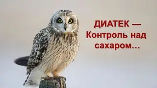 ДИАТЕК &mdash; Контроль над сахаром.