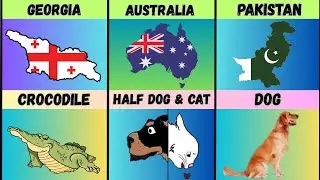 Country Maps look like things & Animals | Realistic Country Maps