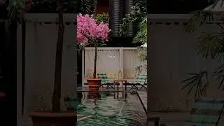 🌴 Secret Tropical Oasis in Copenhagen | Manon Les Suites Eco Paradise 🌺✨