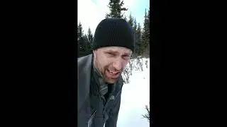 Tracking E-2: Moose Poop!