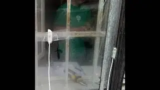 Kastenfenster
