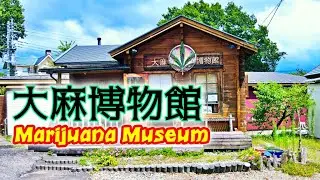 【珍スポット】大麻博物館でヘンプシードを買ってきた / Marijuana Museum