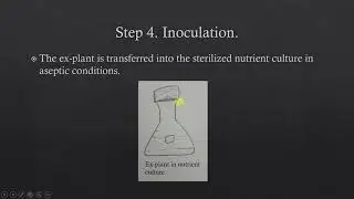 Tissue culture technique and its advantages. IPE TS and AP 2nd yr LAQ. IMPORTANT QUESTION.