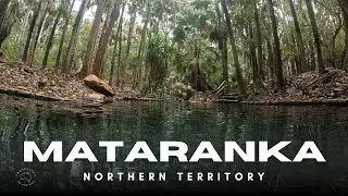 MATARANKA THERMAL POOLS: A Tropical Oasis in the Northern Territory, Australia.
