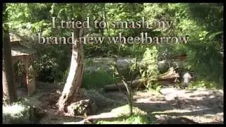 Dangerous Dead Maple Tree Felling