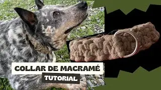 Collar para perro en macram&eacute; Tutorial, DIY