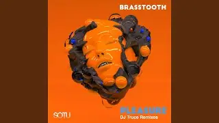 Pleasure (Extended Mix)