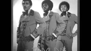 The Tamlins - That`s Life