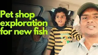 మేము కొత్త ఫిష్ కొన్నాము Pet shop exploration for new fishes to home aquarium 