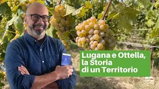 Lugana e Ottella: la Storia di un Territorio