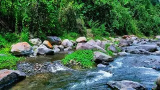 Stress Relieving and Peaceful Quality | A Gentle Flow Over Rocky Banks to Restore Calm and Balance