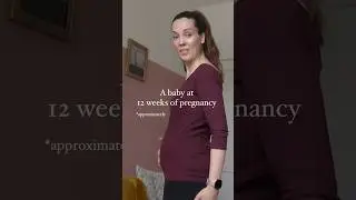 Размер ребенка на 12 неделе беременности