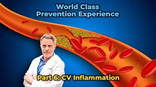 World Class Prevention Experience Part 6: CV Inflammation