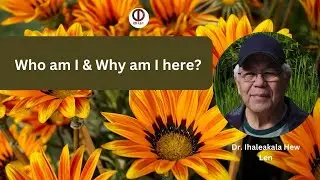 Кто я и почему я здесь? #hooponopono