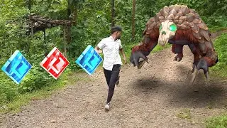 Temple Run - Blazing Sands In Real Life | Compilation Video 2026 | #templerun #templerun2