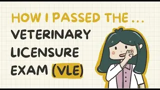 How I Passed the Veterinary Licensure Exam (VLE)