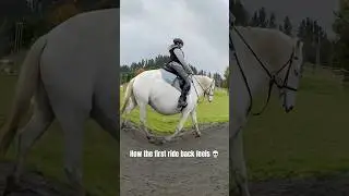 How the first ride back feels 💀🍑 #rider #riding #horse #equestrian